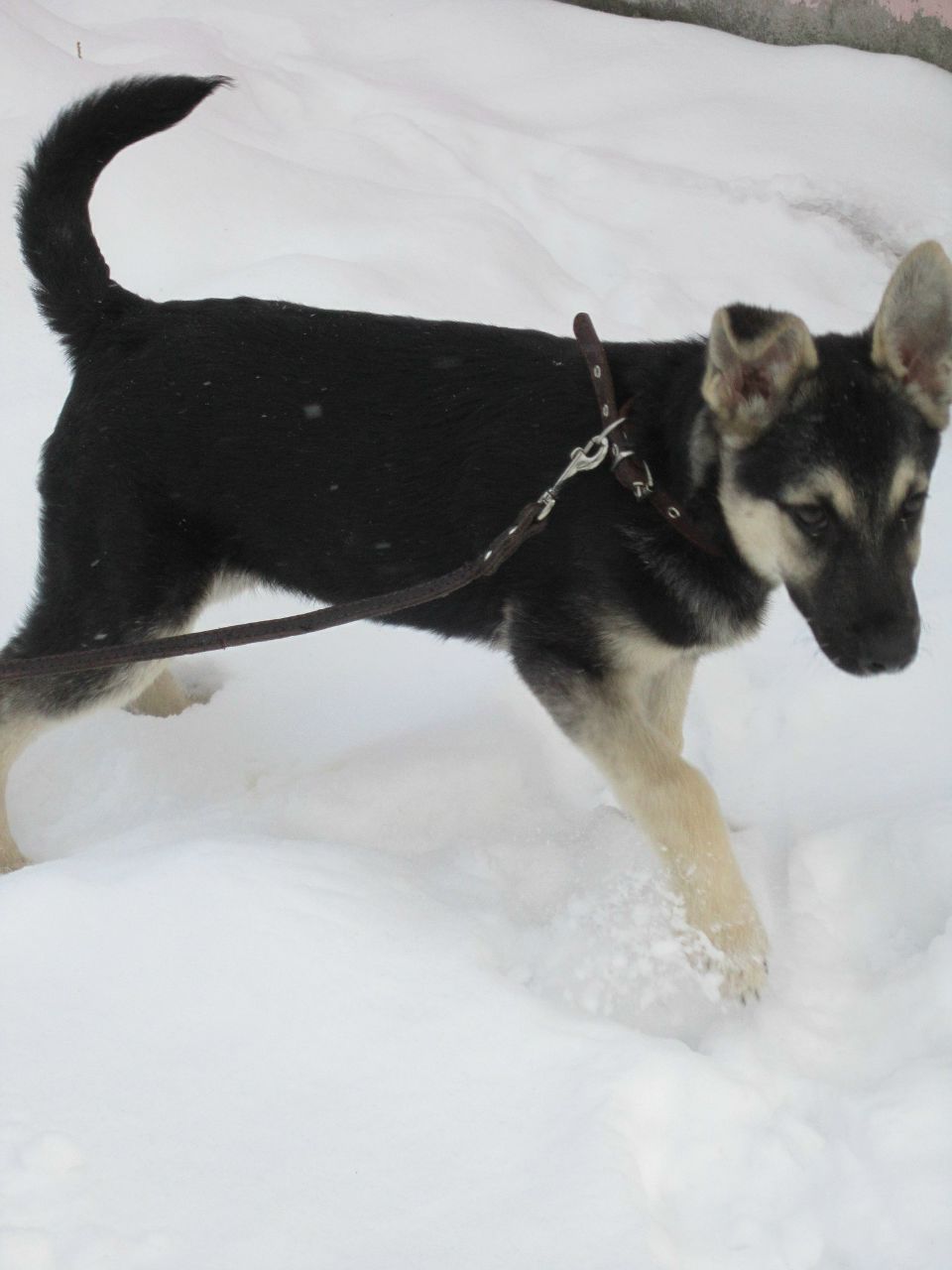 Яна Курбатова 