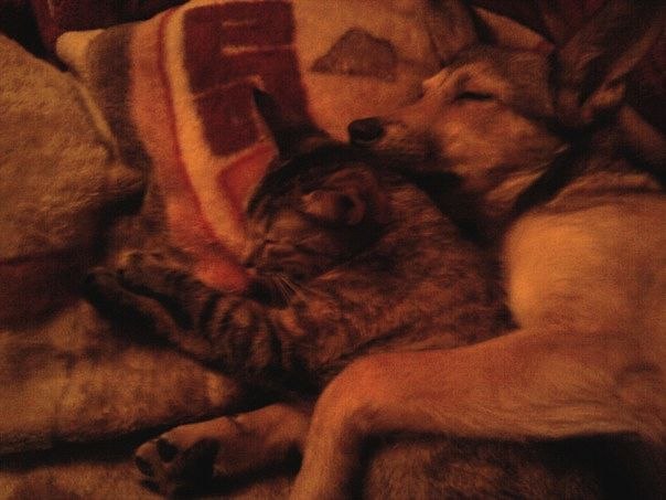 Аня Микаелян | Москва