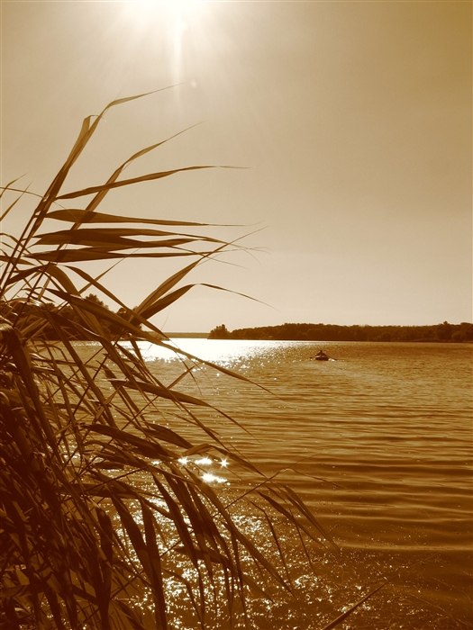 Elena Danakina | Днепр (Днепропетровск)