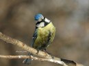 №5 Мунара Нарбекова 24.03.1990: профиль, фото, статус - ВКонтакте