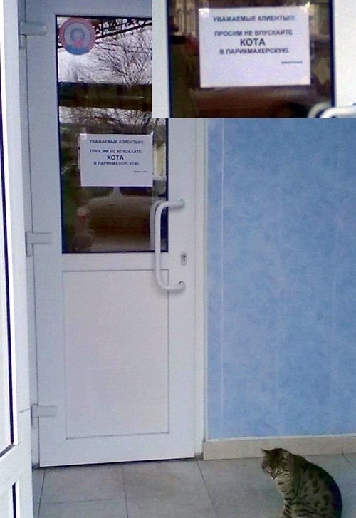 Андрей Пустельников | Витебск