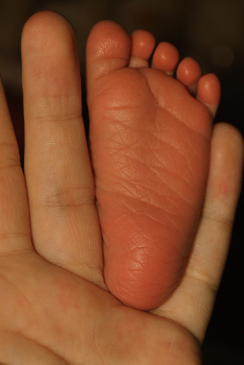 Анна Данилова | Москва