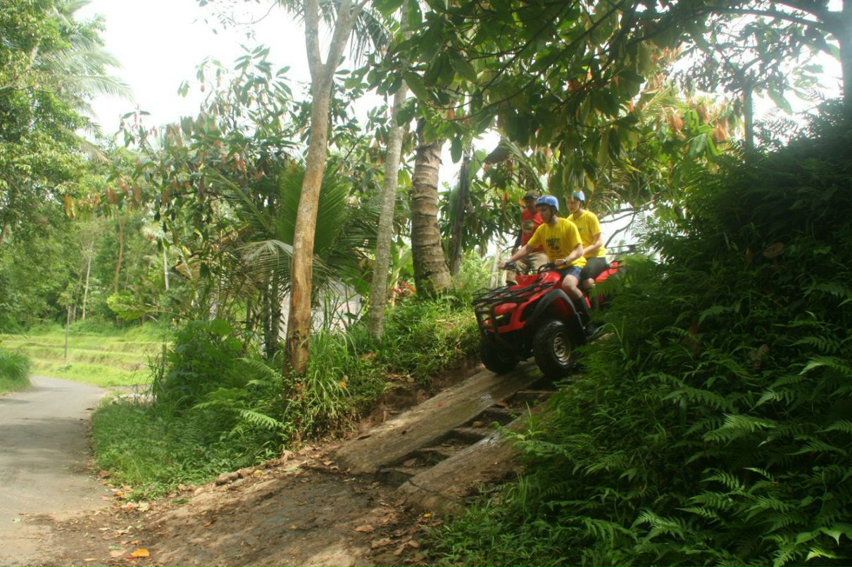 Дмитрий Потапов ★Rudik★ | Москва