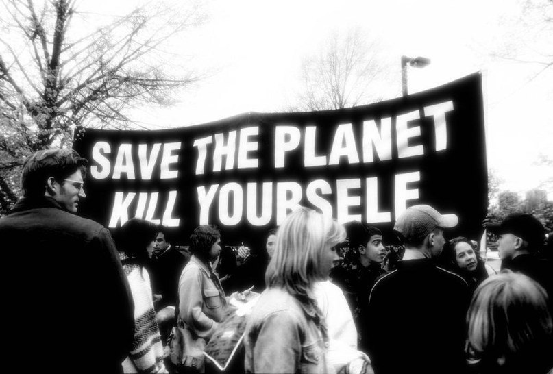 Антоха Усанов | 