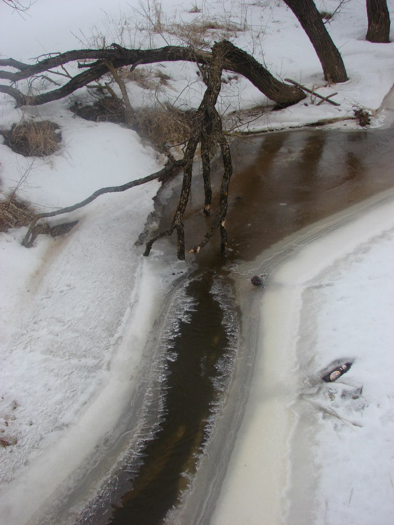 Инга Карашкевич | Минск