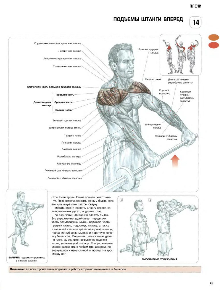 Николай Яковенко | Новогуйвинское