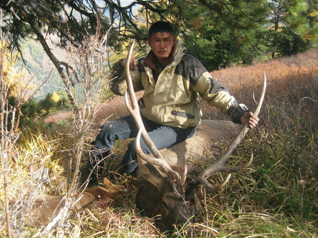 Айдар Токоеков | Улаган