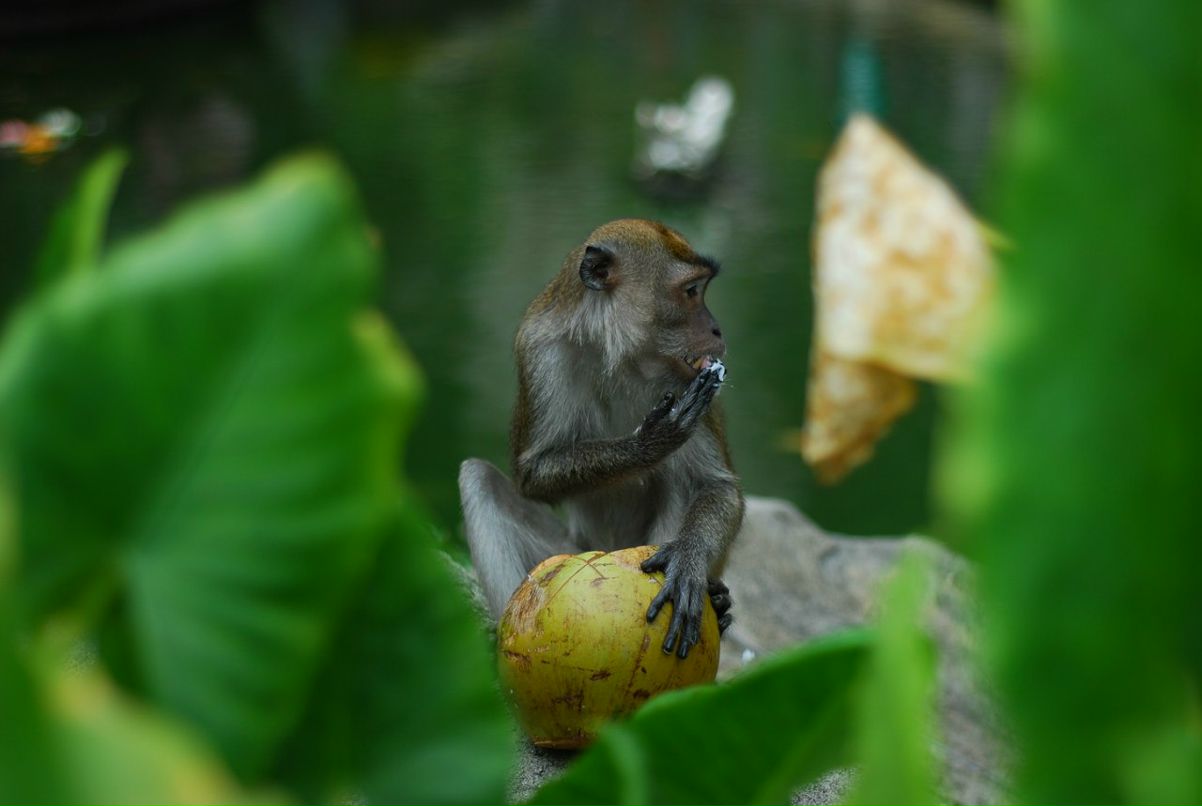 Александра Гладких | Владивосток