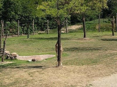 Мария Радецкая | Киев