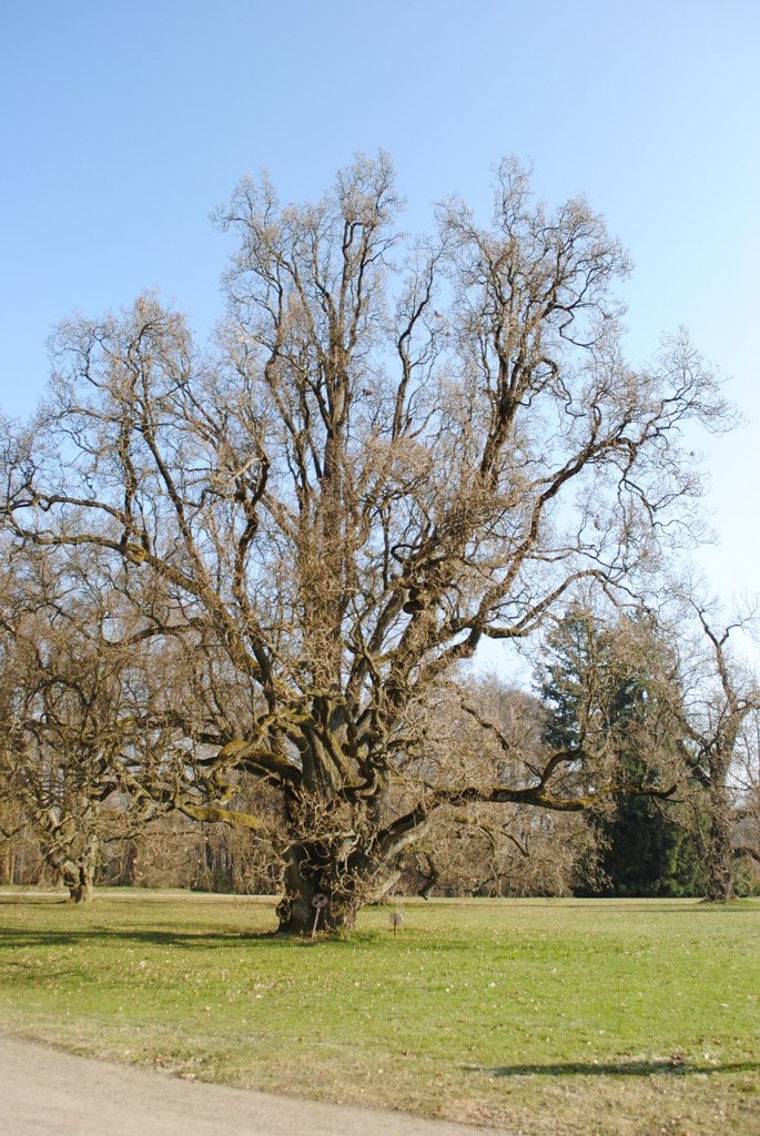 Анна Тимошкова | Москва