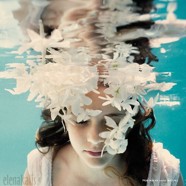 Анна Севериненко | 