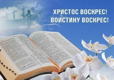 Арман Савиди | Ростов-на-Дону