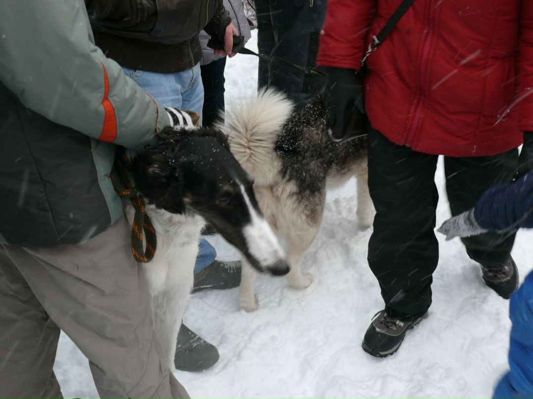 Екатерина Виноградова | Петрозаводск