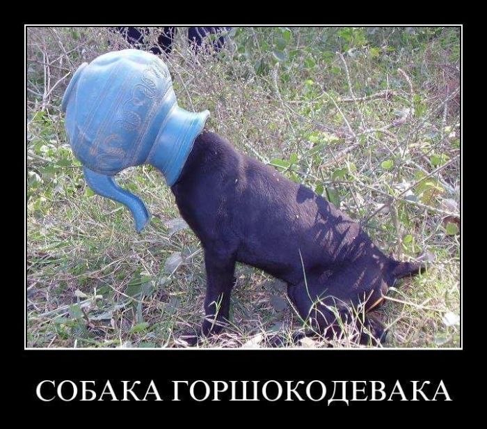 Андрей Лефутуренко | Киев