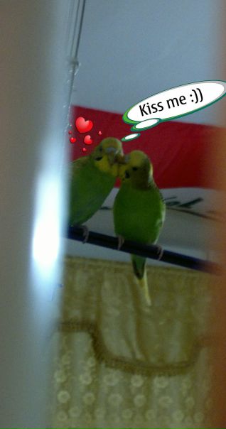 №54, Мустафа Aldoori, Baghdad №54, Мустафа Aldoori, Baghdad