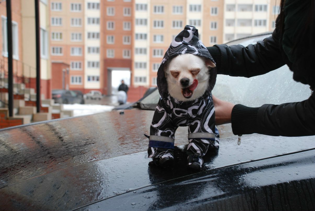 Алёна Балагурова | Москва