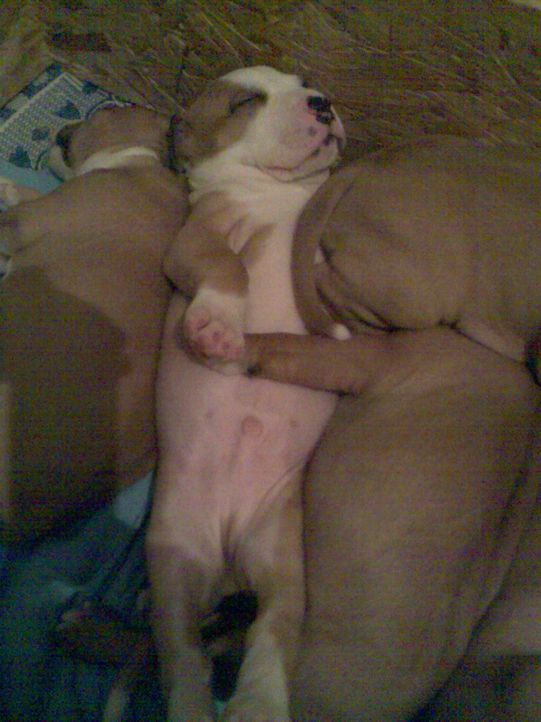 Ленка Головіна | Луцк