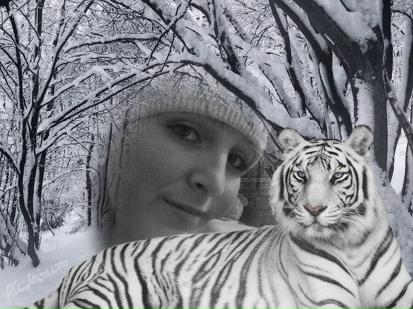 Танечка Вологжина фото профиля #6