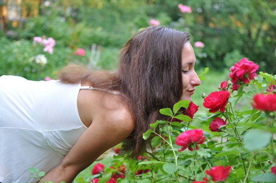 №33, Мари Котялапа, Москва №33, Мари Котялапа, Москва