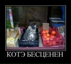 №38 Галина Каргина 29.05.1987: профиль, фото, статус - ВКонтакте