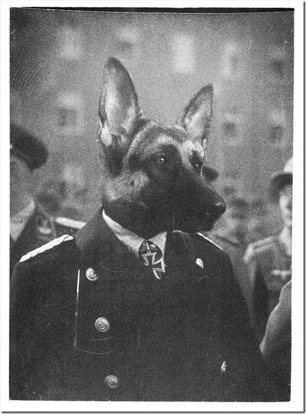 №34, Георгий Гогуа, 32 года №34, Георгий Гогуа, 32 года