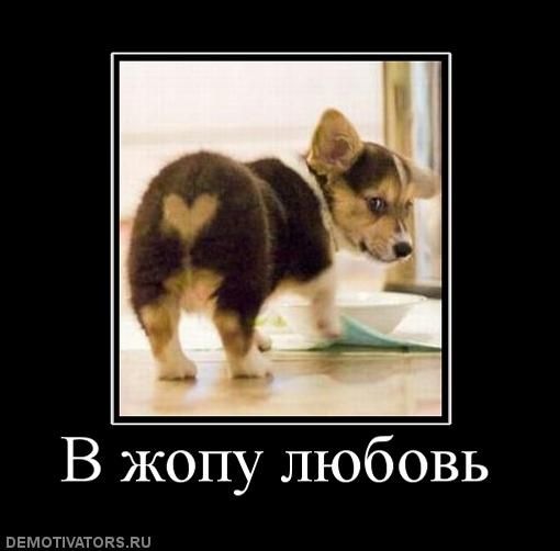 №40, Vlad Wonder, 84 года, Днепр (Днепропетровск) №40, Vlad Wonder, 84 года, Днепр (Днепропетровск)