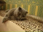 №4 Антон Чудаев : профиль, фото, статус - ВКонтакте №4 Антон Чудаев : профиль, фото, статус - ВКонтакте