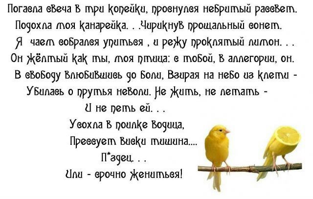 №56, Настя Паниско, 36 лет, Измаил №56, Настя Паниско, 36 лет, Измаил