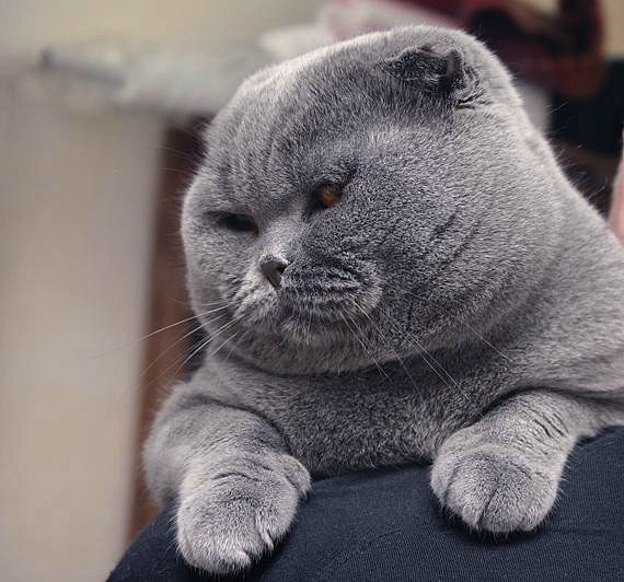 №25, Юля Викторова, 30 лет, Белоярский №25, Юля Викторова, 30 лет, Белоярский