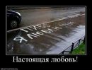 №6 Мишка Минченков 25.11: профиль, фото, статус - ВКонтакте