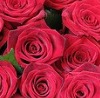 №30 Светлана Носкова 27.02.1991: профиль, фото, статус - ВКонтакте