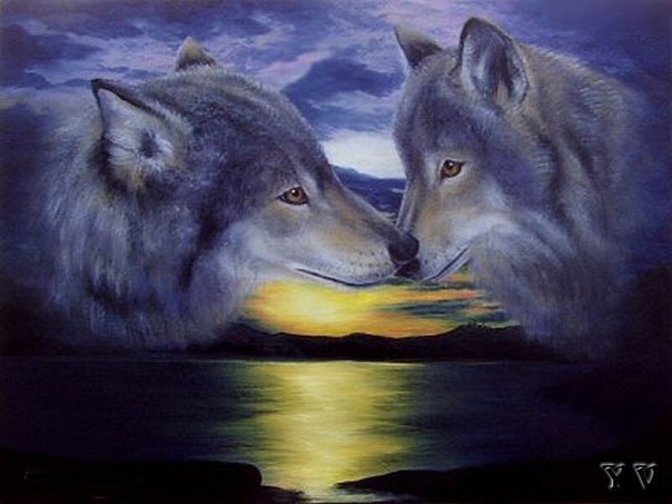 №14, Танюшка Сорокина №14, Танюшка Сорокина