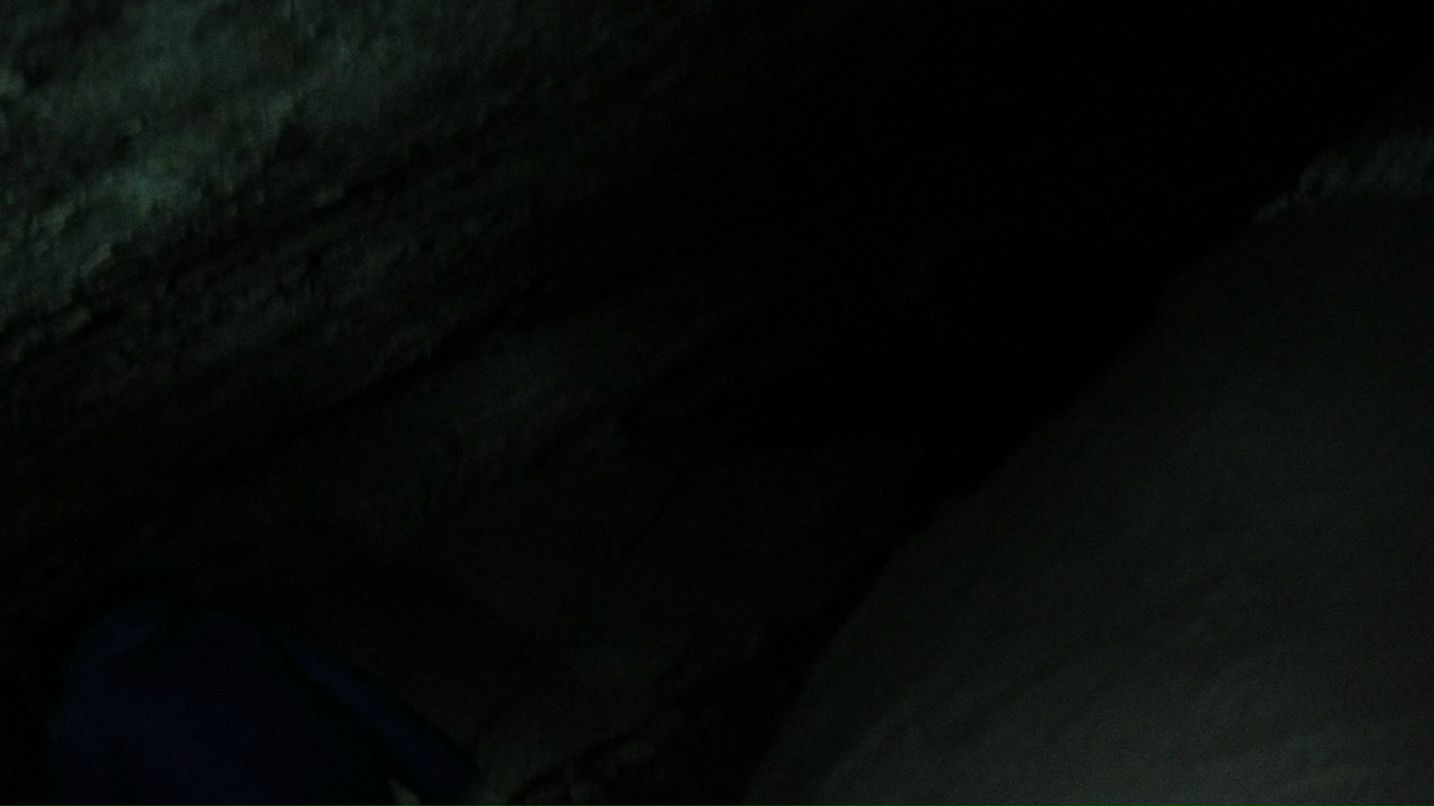 Александр Волохов | Северодвинск