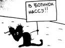 №1 Елена Киреева