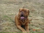 №16, Константин Шмалёв, 9.1.1984, 42 года, Гатчина, Россия