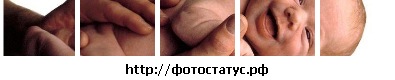 №25, Ирина Декусарэ, Санкт-Петербург №25, Ирина Декусарэ, Санкт-Петербург