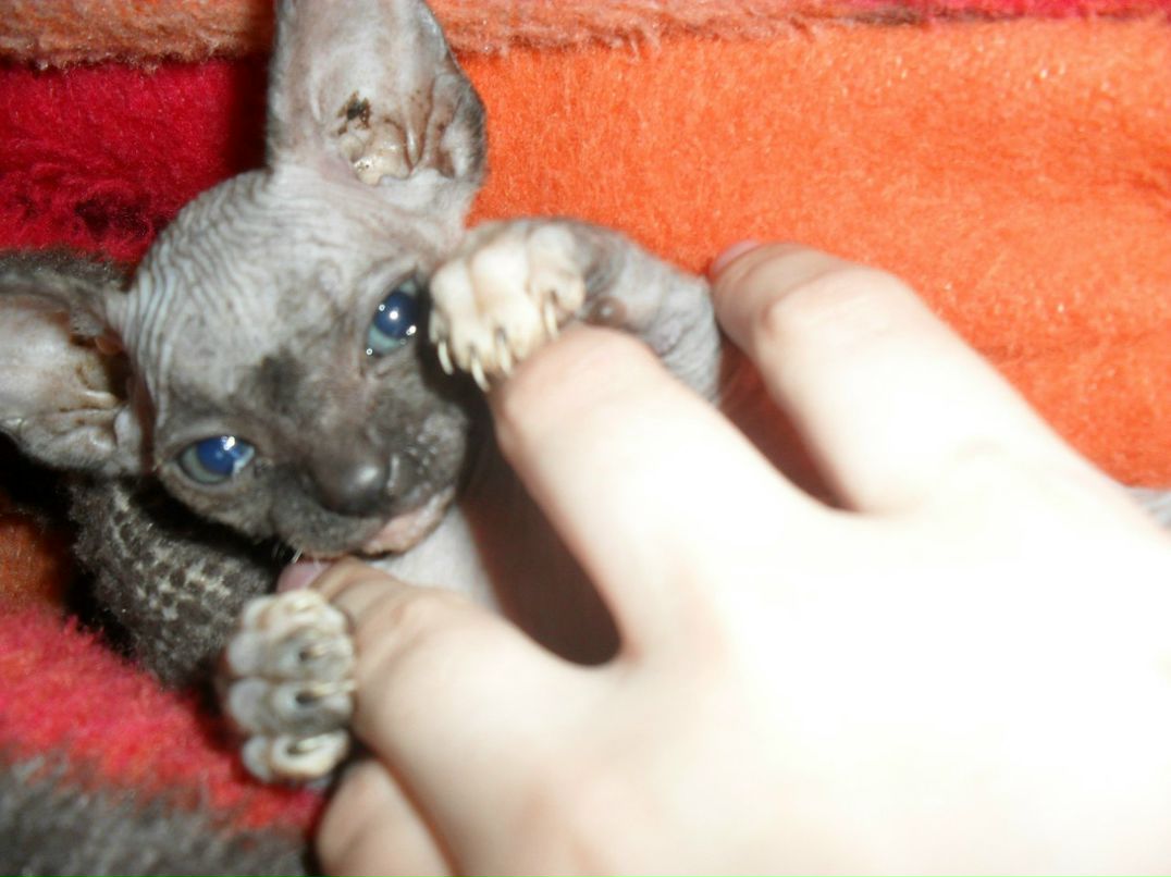 Кристина Сяба | Рязань