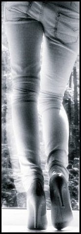 №41, Януська Цвик №41, Януська Цвик