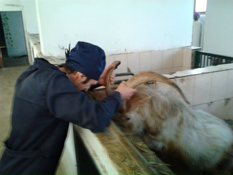 Санёк Помогайбо | Киев