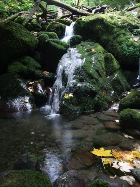 Лена Пентина | Киров