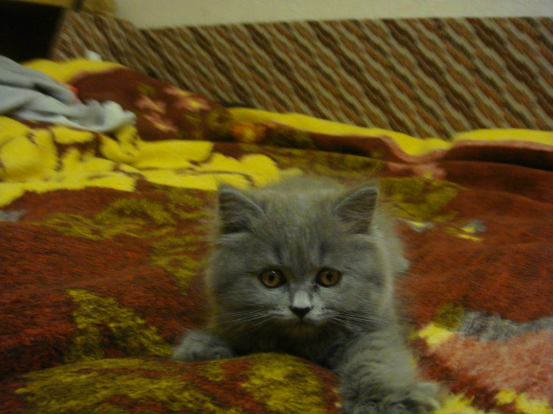 Евгений Кудин | Днепр (Днепропетровск)