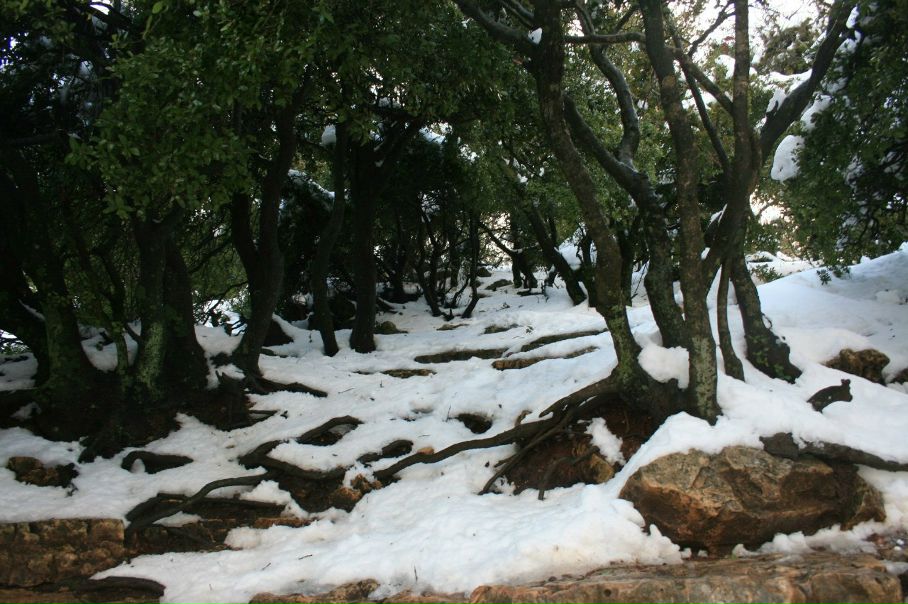 №35, Елена Лихачева, 38 лет, Луганск №35, Елена Лихачева, 38 лет, Луганск