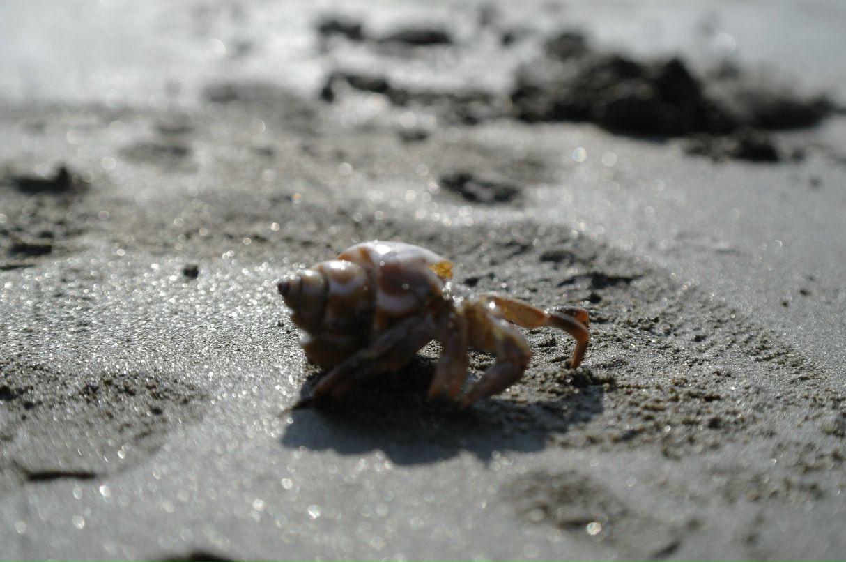 Наталья Сметанина | Санкт-Петербург