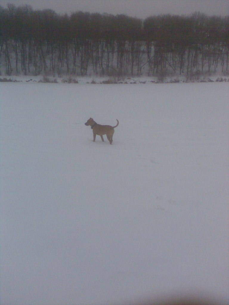 Слава Манжос | Харьков