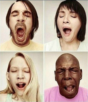 Санчо Duck | Москва