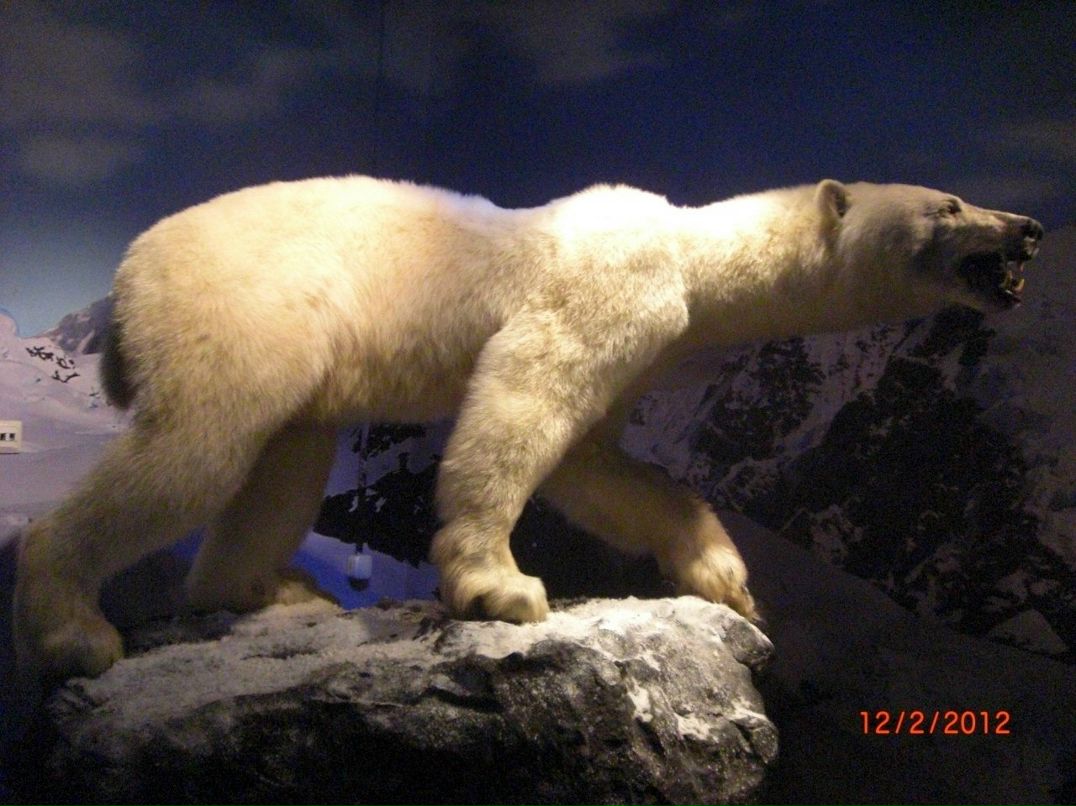 Геннадий Сергиенко | Санкт-Петербург