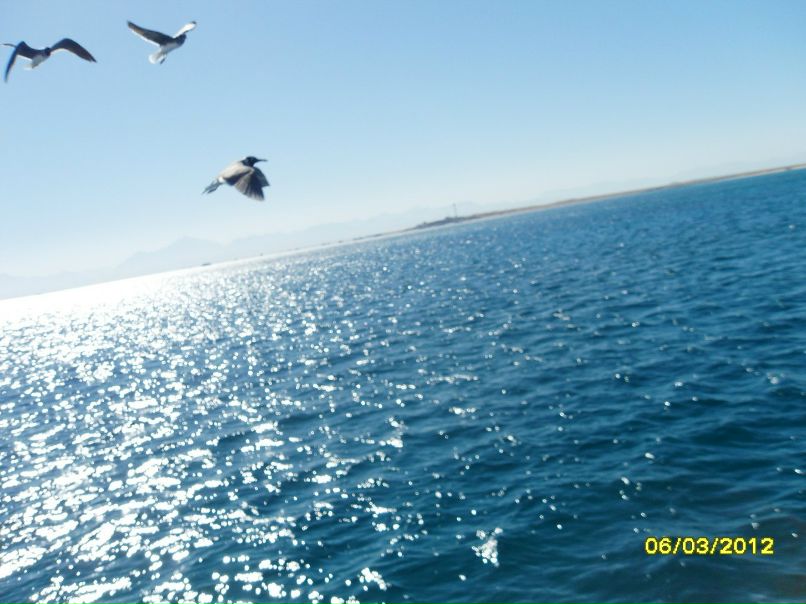 Ирина Богданова | Санкт-Петербург