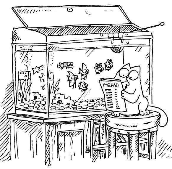 Дмитрий Матвиенко | 