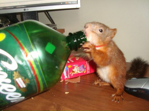 №156, Мария Иващенко, Дружный №156, Мария Иващенко, Дружный