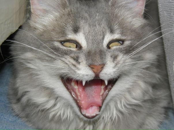 №28, Наталья Коваленко, Запорожье №28, Наталья Коваленко, Запорожье